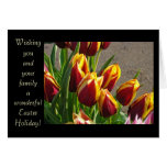Wishing You & Family wonderful Easter Holiday! Greeting Card
