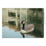 Wishing you peace today card