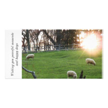 Wishing you peaceful moments and happ... photo card template