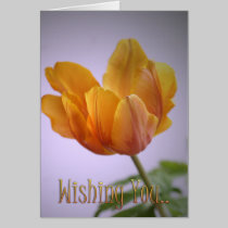 Wishing you text and Tulip card cards