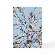 Wispy Greeting Cards