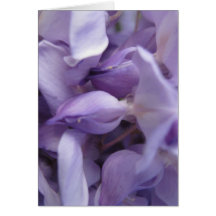 Wisteria Greeting Card