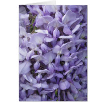 Wisteria Greeting Card