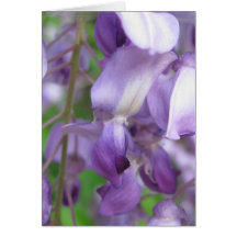 Wisteria Greeting Card