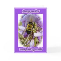Wisteria & Male Carpenter Bee Get Well Card