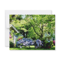 Wisteria on Lawn