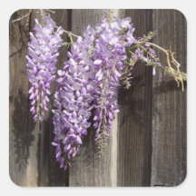 Wisteria Stickers