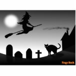 Witch and Black Cat in the Night photo sculptures