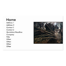 Witch in Owl Form Business Card Templates