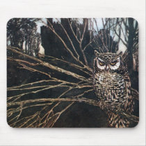 Witch in Owl Form
