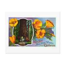 With Best New Year Wishes from California Postcards