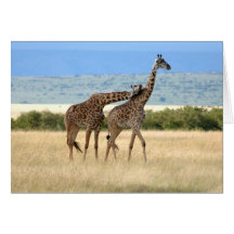 With love, giraffe card