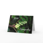 With Sympathy cards