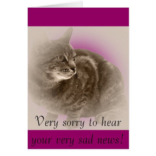 With Sympathy (loss of a cat) Greeting Card Zazzle