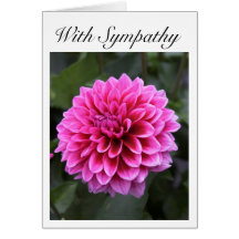 With Sympathy Pink Ball Dahlia Greeting Cards