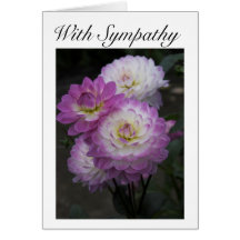 With Sympathy Pink Dahlias Greeting Card