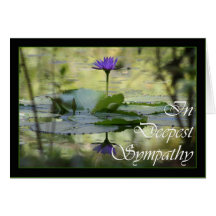 With Sympathy, Simply stated condolences Cards