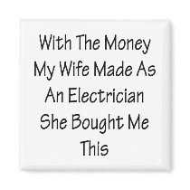 With The Money My Wife Made As An Electrician She