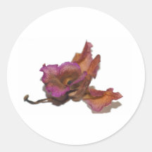 Withering orchid round stickers