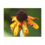 Withering Post Cards