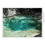 Withlacoochee Springs Greeting Cards