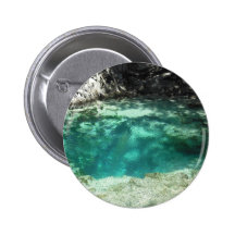Withlacoochee Springs Pin