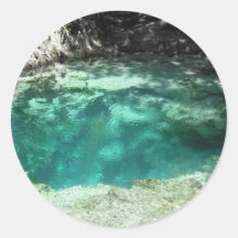 Withlacoochee Springs Sticker