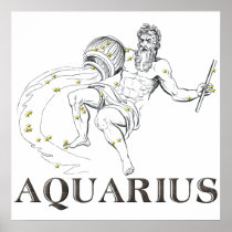 WITS: Aquarius Poster