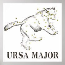 WITS: Ursa Major Poster