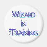 Wizard in Training blue Magnets