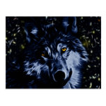 Wolf and stars post cards