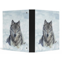 Wolf Binder