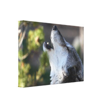 wolf canvas print