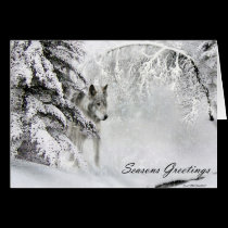 wolf christmas card cards