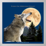 WOLF CRY Art Poster