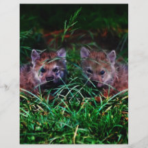 Wolf Cubs Flyers