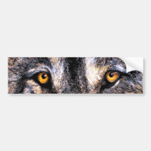 Wolf Eyes Bumper Stickers