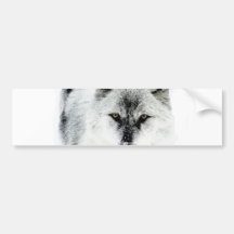 Wolf Eyes Bumper Stickers