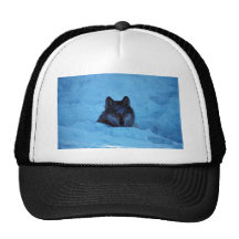 Wolf Hat