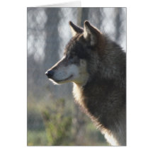 Wolf head card