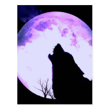 Wolf Howl Postcard