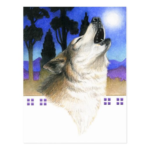 Wolf Howl Postcard