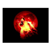 Wolf Howling at Red Night Post Card