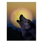 Wolf howling at the moon post card