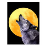 Wolf howls at the full moon postcard