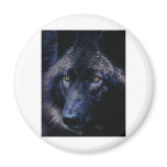 Wolf in moonlight (a) magnet