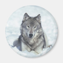 Wolf Magnets