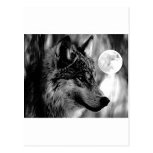 Wolf & Moon Post Cards