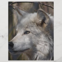 Wolf Personalized Flyer