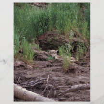 Wolf Resting in Front of Den Custom Flyer